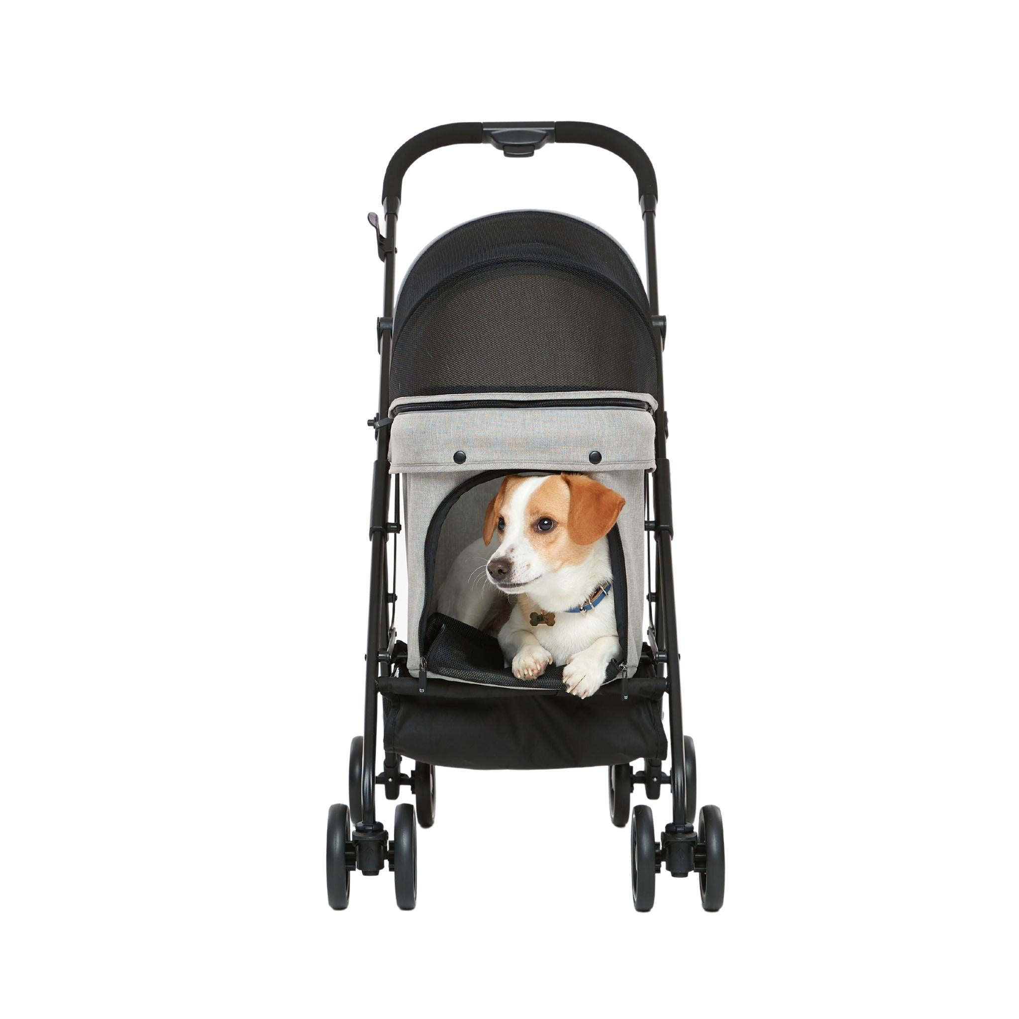 RIDER MALTTY2 - Pet Stroller – BUDDYDUGGY