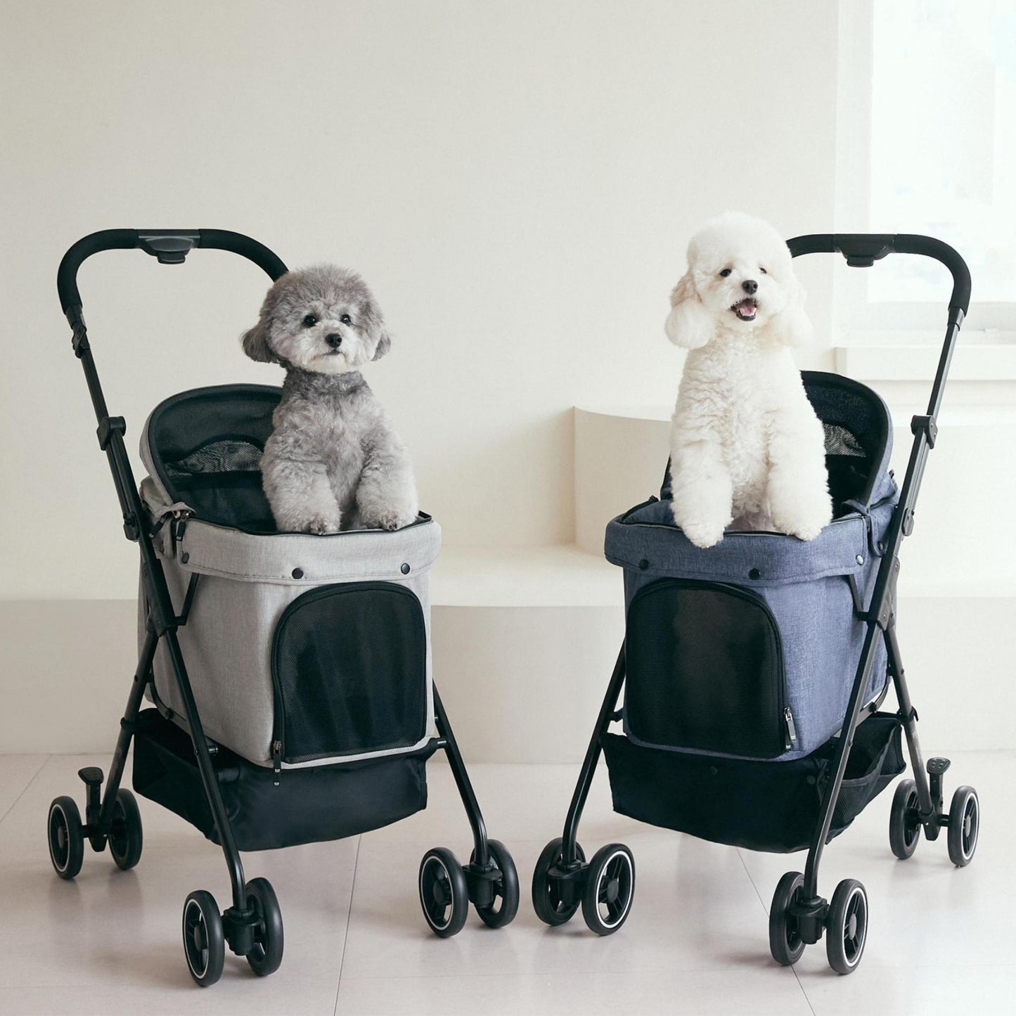 RIDER MALTTY2 - Pet Stroller